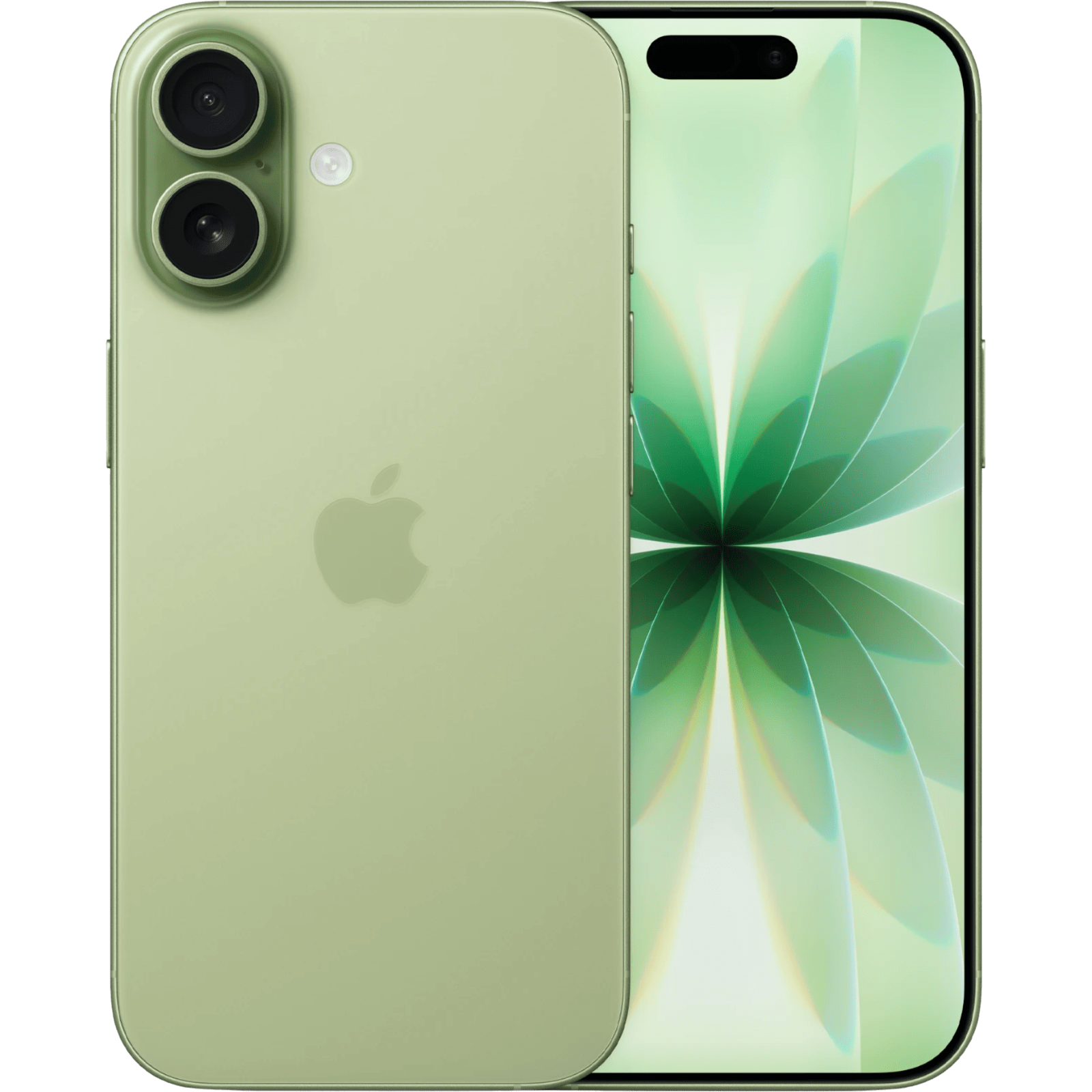 iPhone 17 — Sage